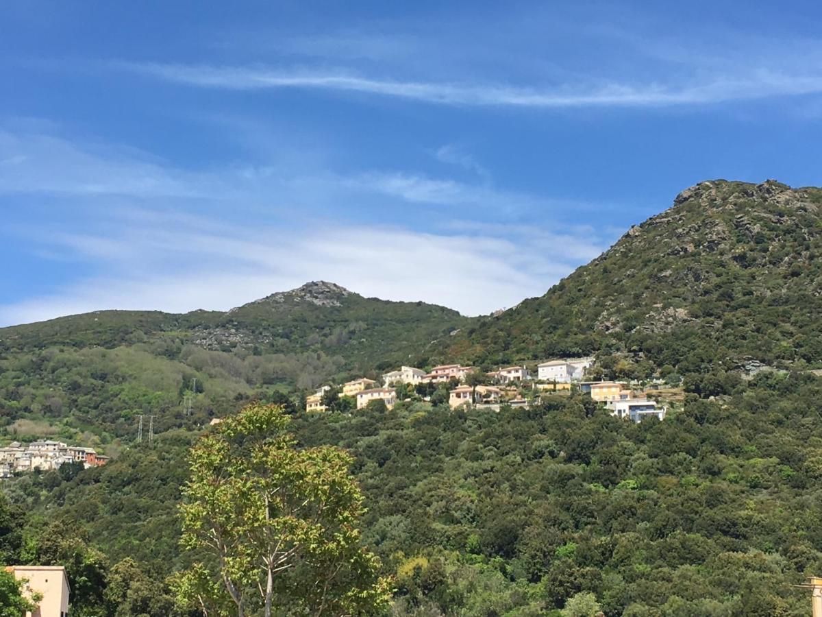 Charmant T2 Hauteurs de Bastia Bastia  Extérieur photo